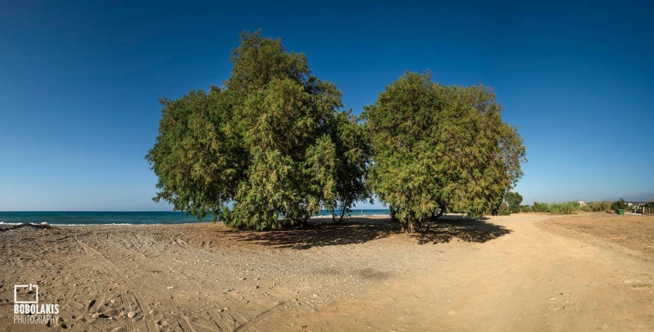 Sirens House Villa Tavronitis Dış mekan fotoğraf